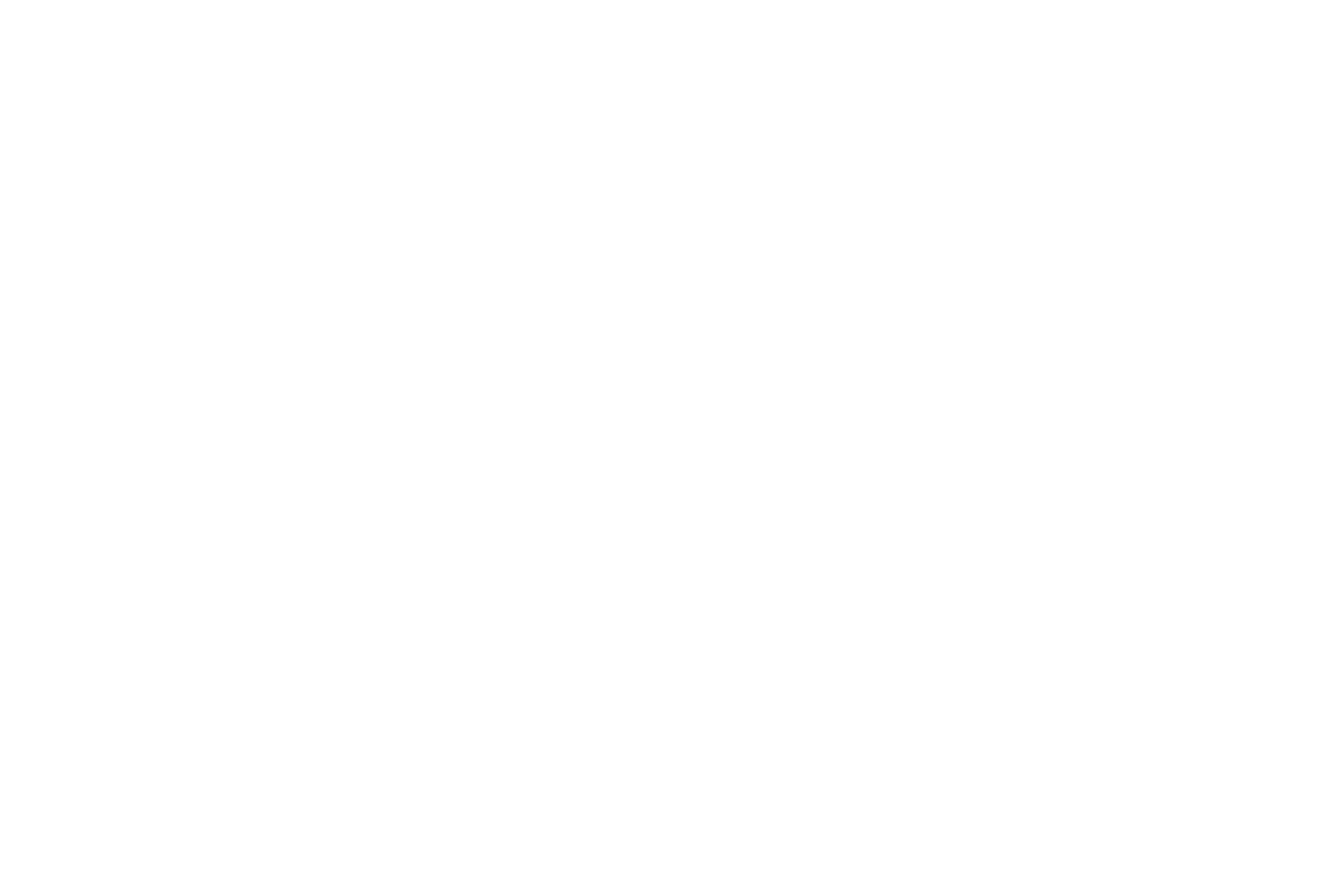 NEXT LEVEL READY logo_WHITE WFSCA Logo